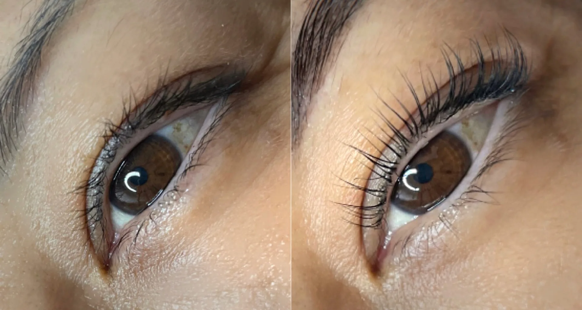 Lash lift before and after — two side-by-side eye crops