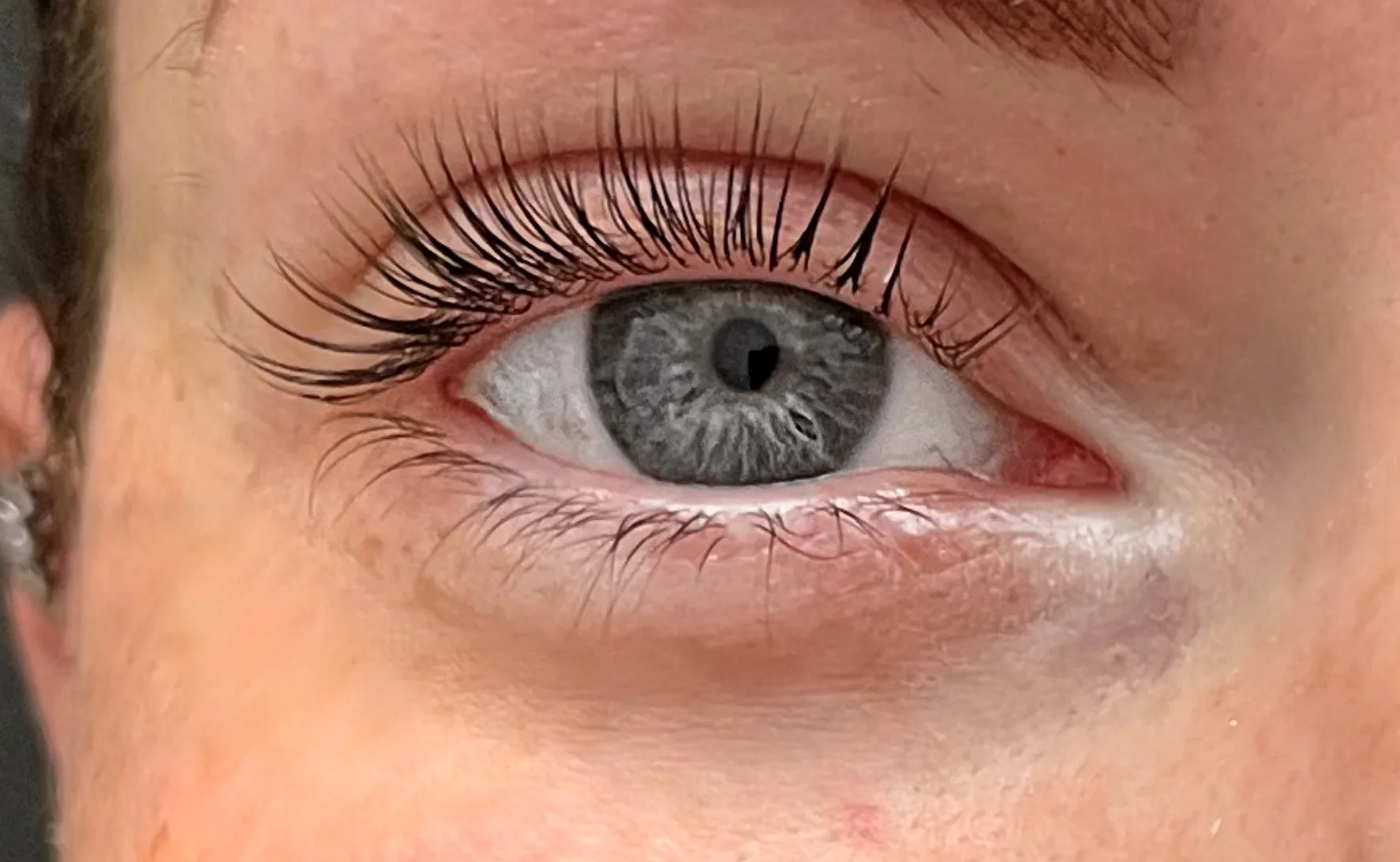 Lash lift — dark lifted lashes, single eye macro